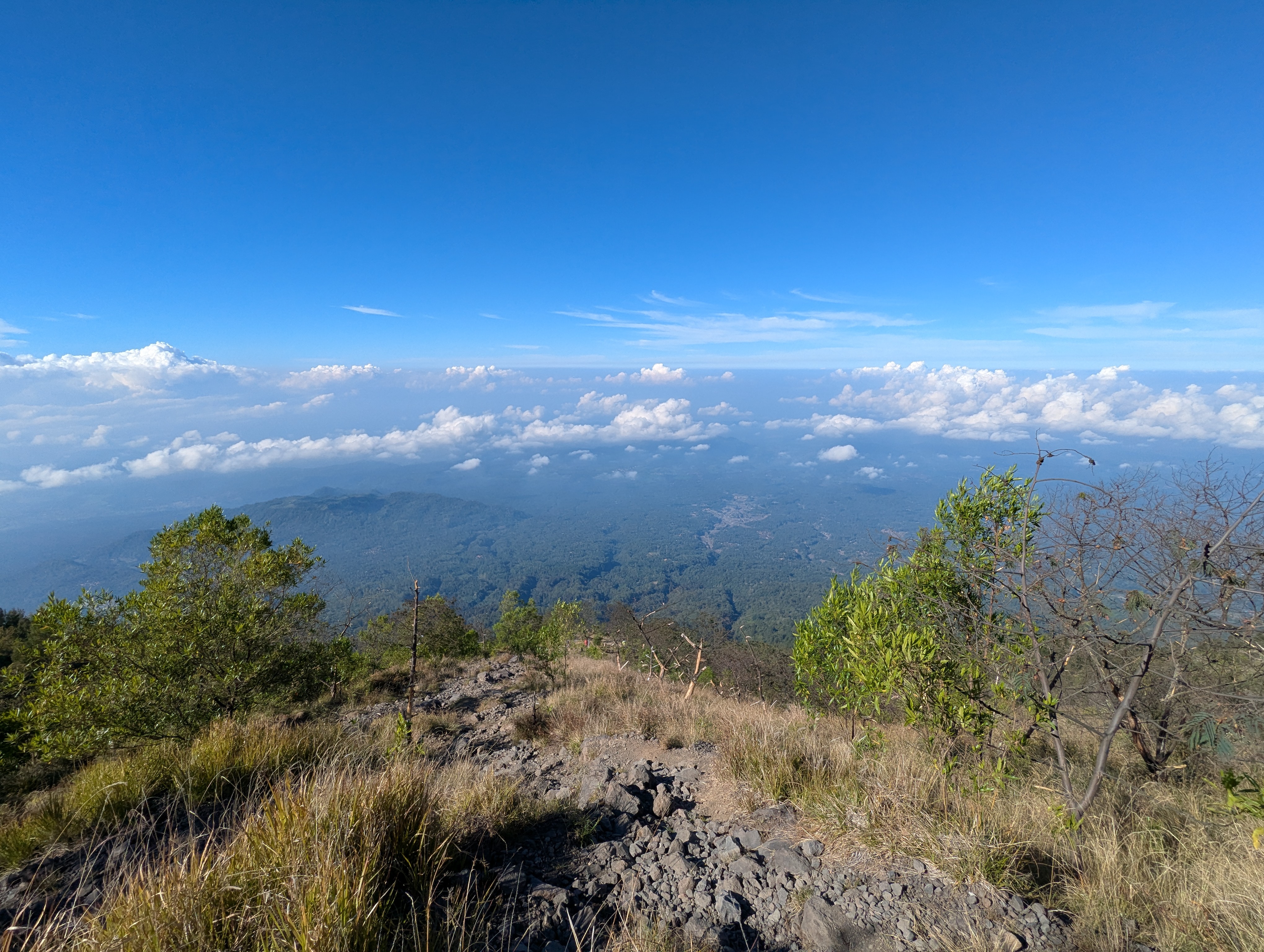 Views of the jungle surrounding the base of the volcano